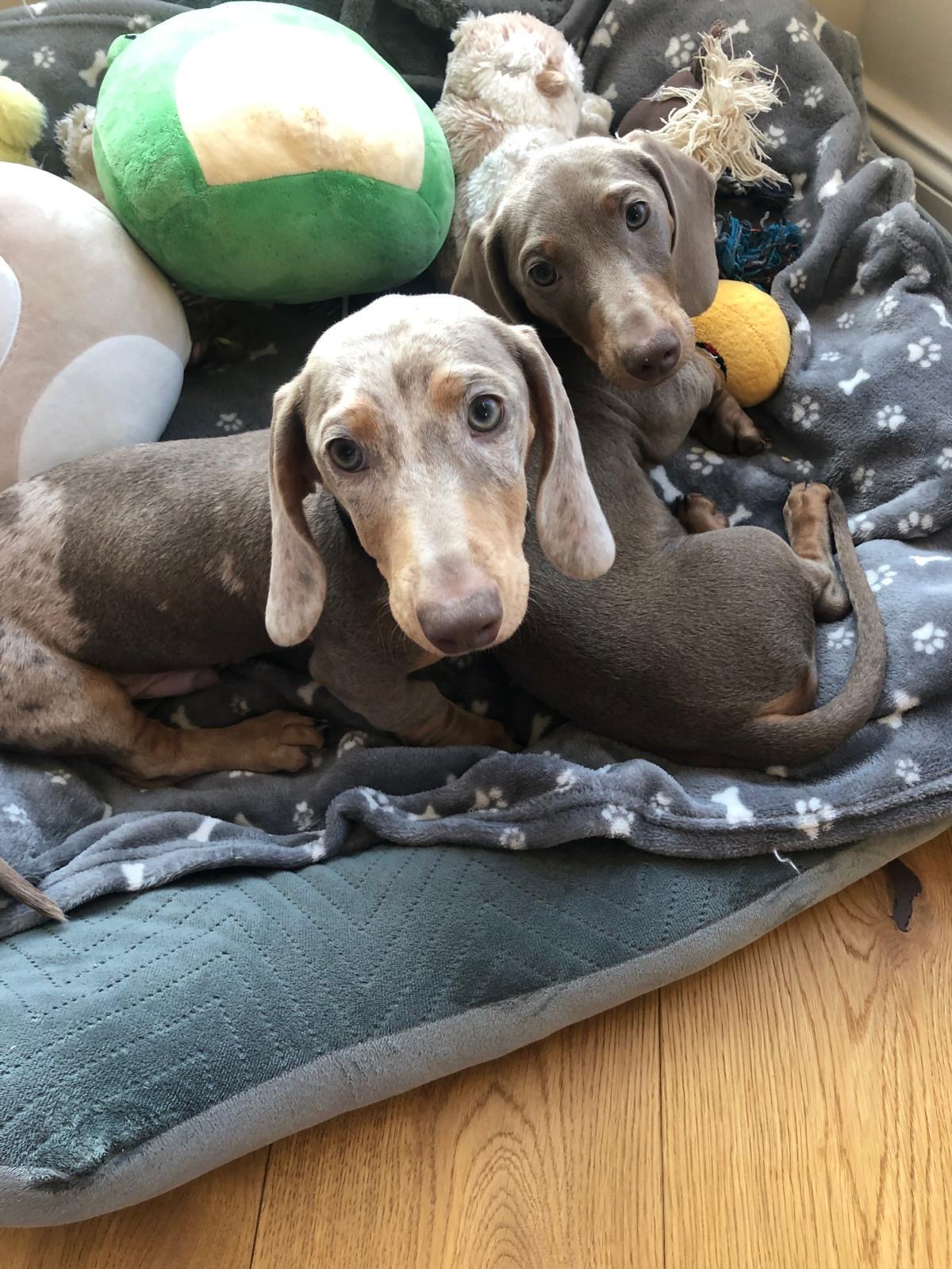 Ruby & Leo – Nähe und Ruhe